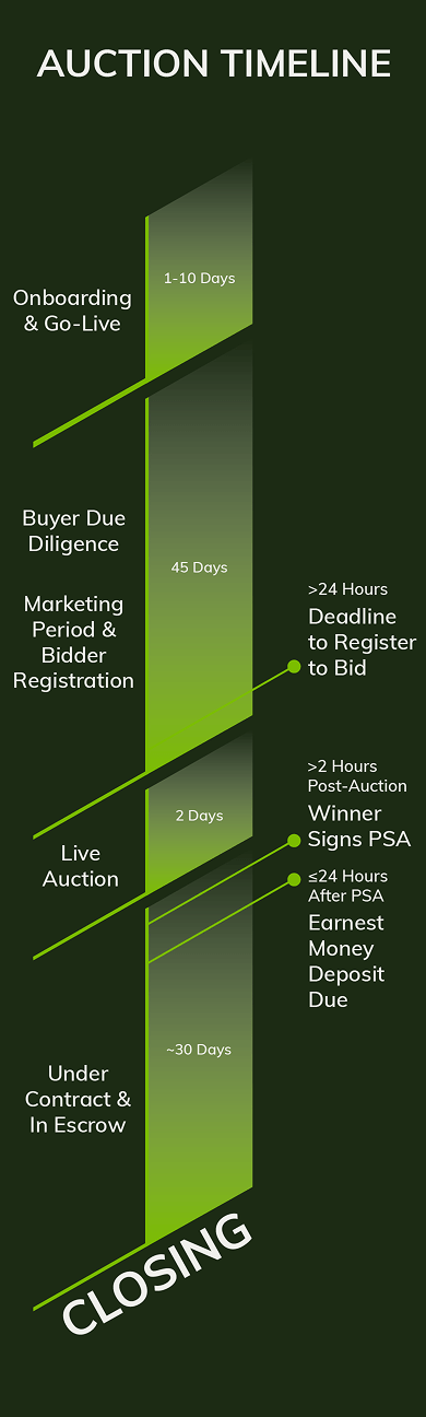 ACE Auction Timeline