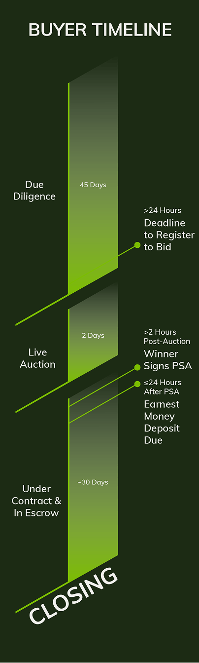 ACE Buyer Timeline