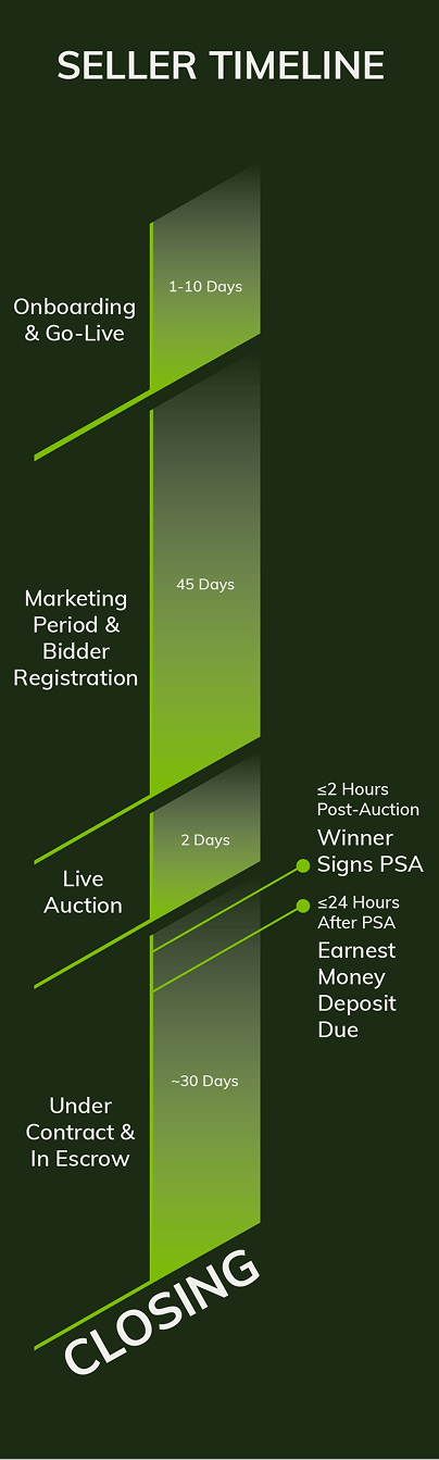 ACE Sellers Timeline